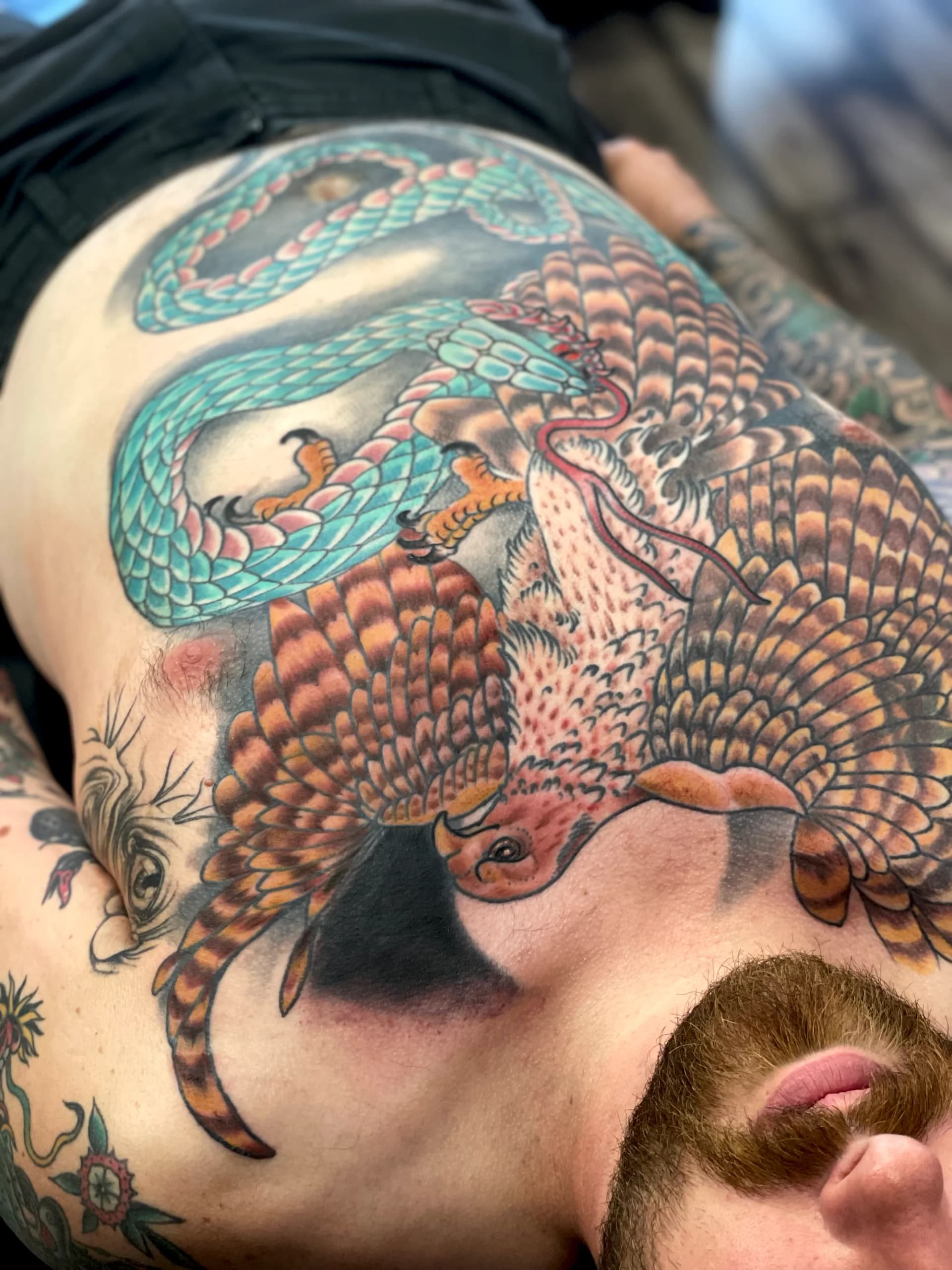 Hawk fighting snake full chest colour tattoo by Nate at Village Tattoo Company London Ontario
