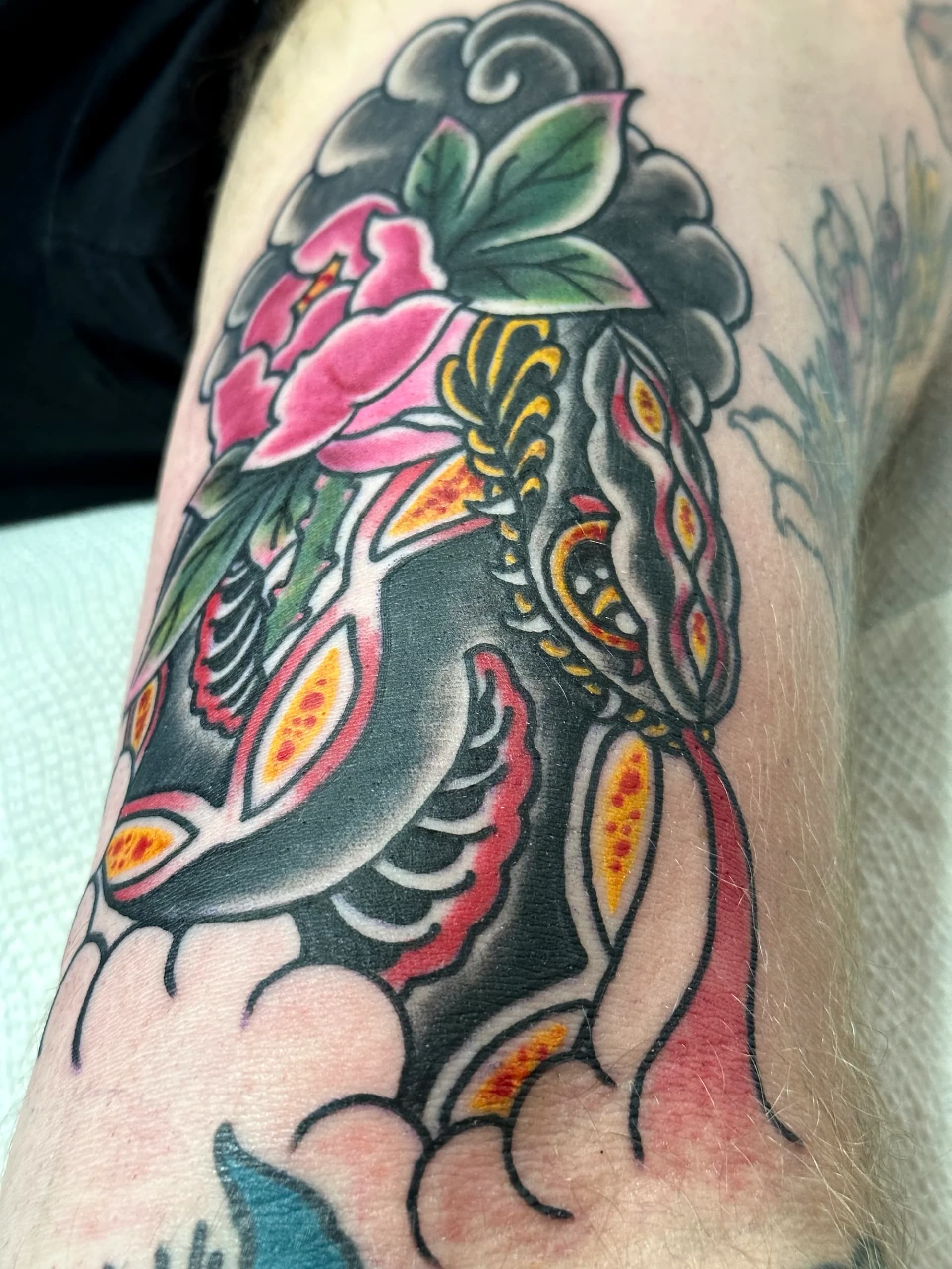 Snake traditional colour tattoo by Nate at Village Tattoo Company London Ontario