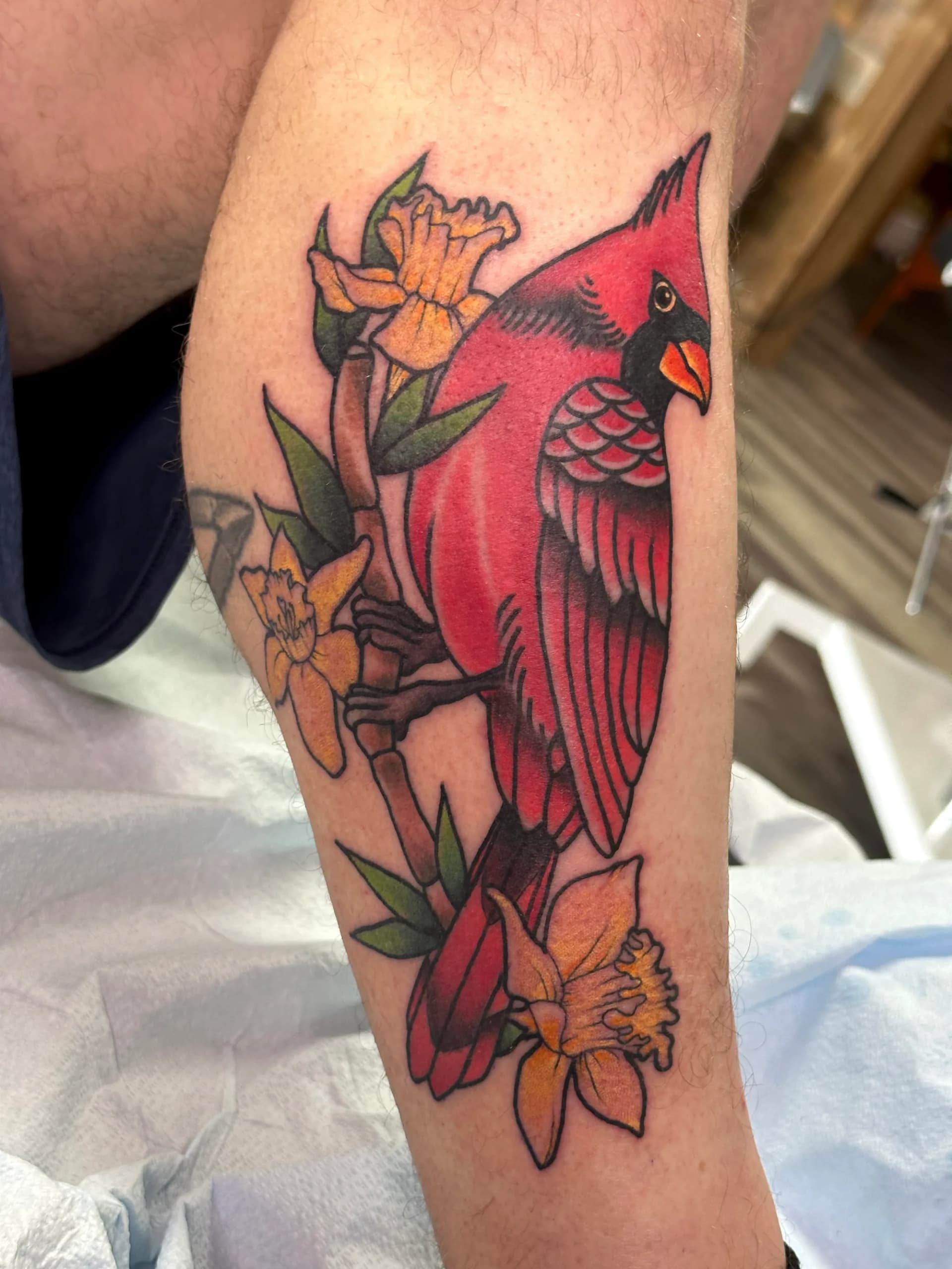 Cardinal bird with roses traditional shoulder tattoo by Nate at Village Tattoo Company London Ontario