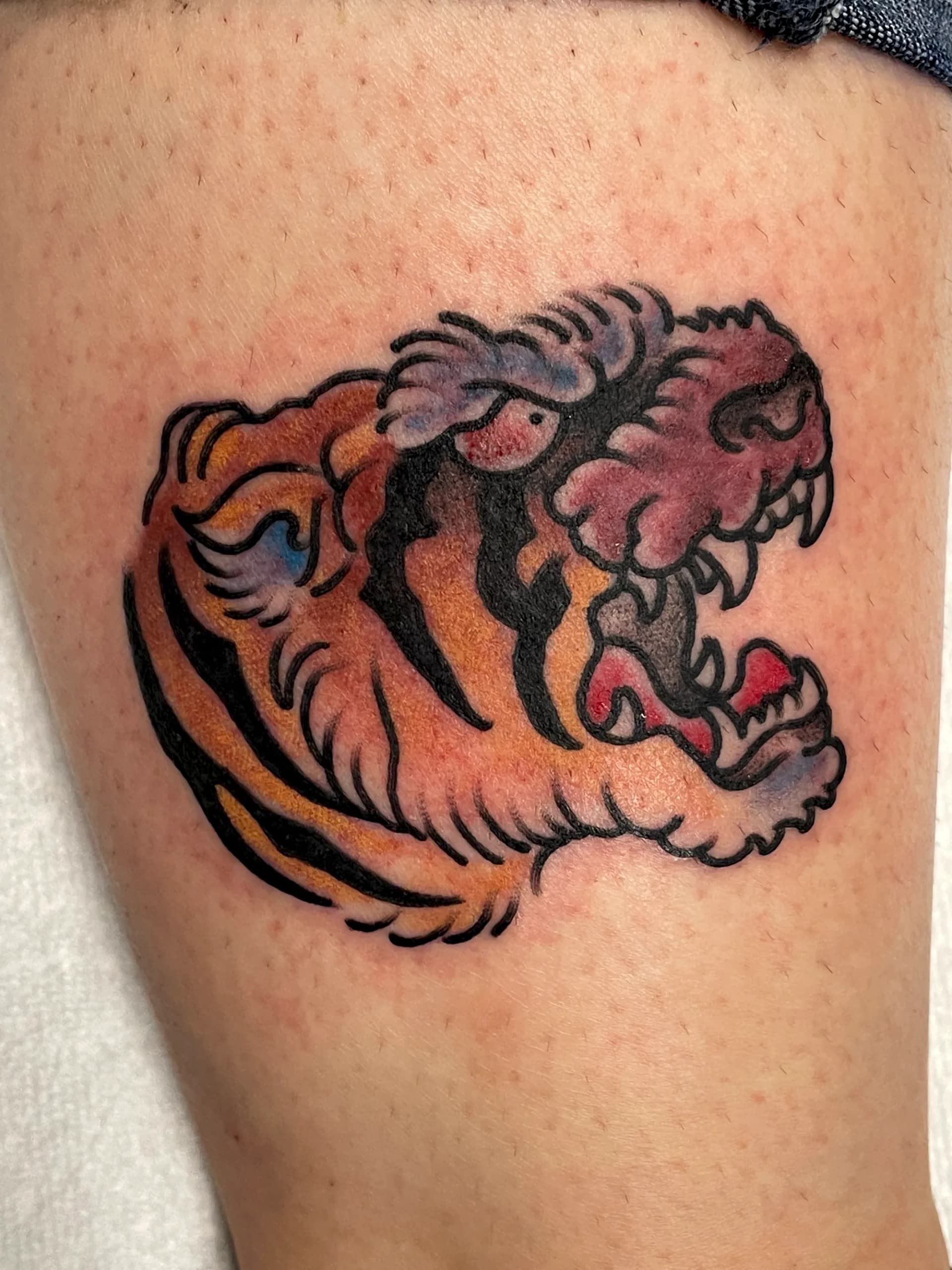 Tiger head blackwork traditional thigh tattoo by Nate at Village Tattoo Company London Ontario