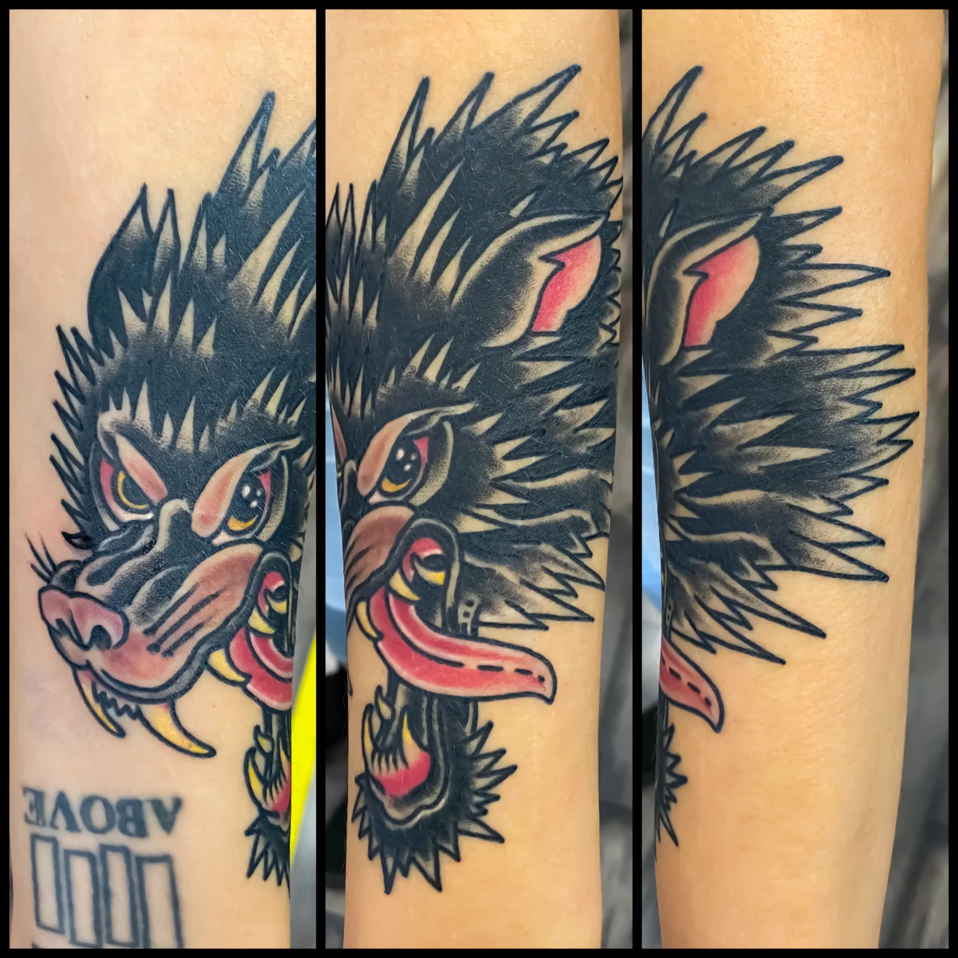Wolf blackwork traditional forearm tattoo by Nate at Village Tattoo Company London Ontario